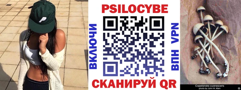 Псилоцибиновые грибы Psilocybine cubensis  Евпатория 